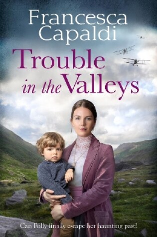 Cover of Trouble in the Valleys