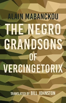 Book cover for The Negro Grandsons of Vercingetorix