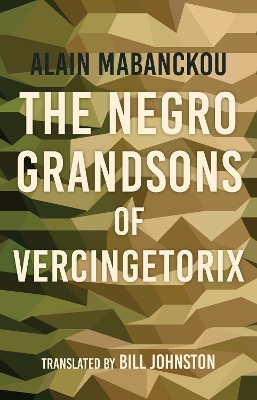 Cover of The Negro Grandsons of Vercingetorix