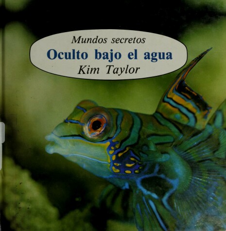 Book cover for Oculto Bajo El Agua