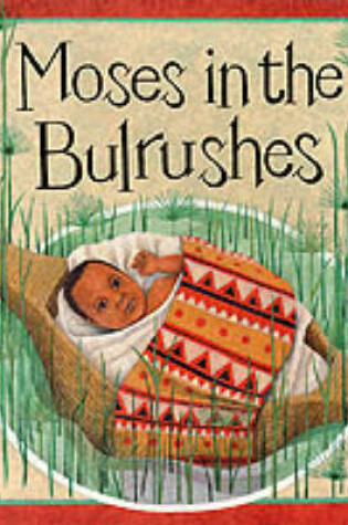 Cover of Moses in the Bullrushes