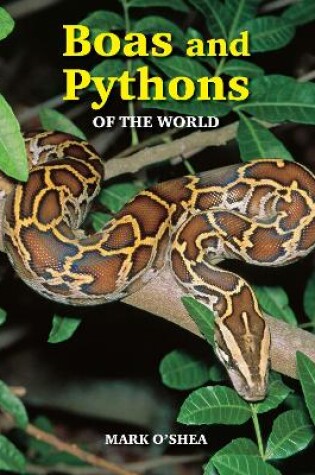 Cover of Boas and Pythons of the World