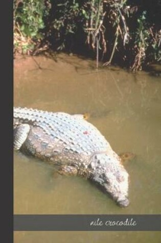 Cover of nile crocodile