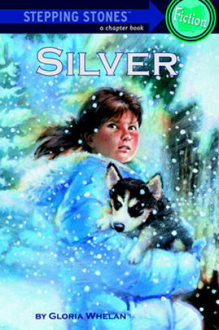 Cover of Silver