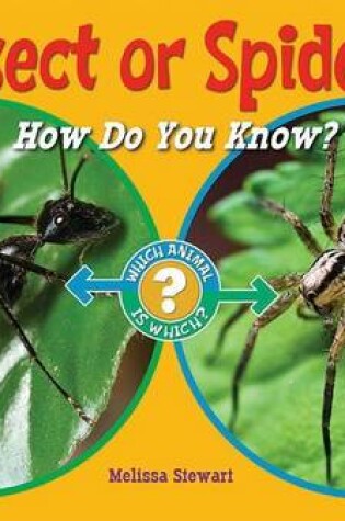 Cover of Insect or Spider?: How Do You Know?