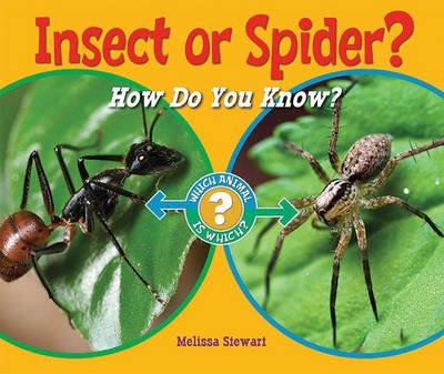 Book cover for Insect or Spider?: How Do You Know?