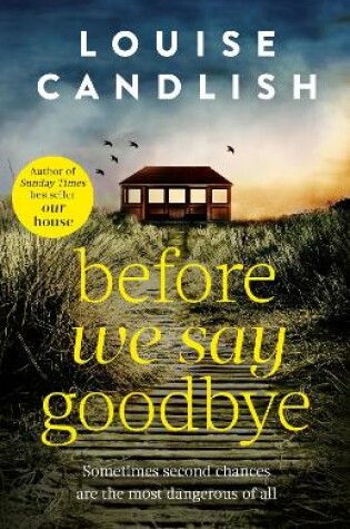 Cover of Before We Say Goodbye