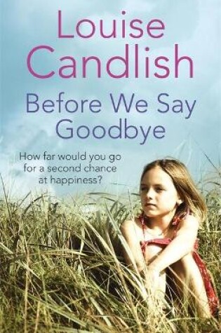 Cover of Before We Say Goodbye