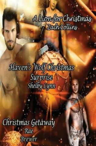 Cover of A Very Male Shifter Christmas