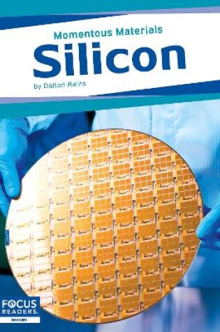 Cover of Momentous Materials: Silicon