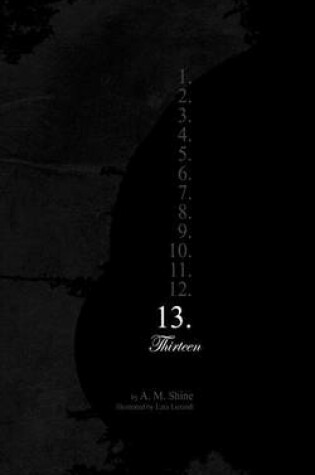 Cover of 13