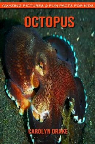 Cover of Octopus