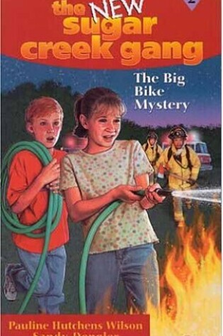 Cover of The Big Bike Mystery