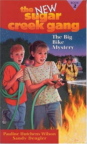 Book cover for The Big Bike Mystery