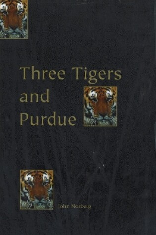 Cover of Three Tigers & Purdue