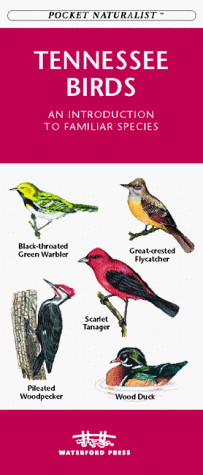 Book cover for Tennessee Birds