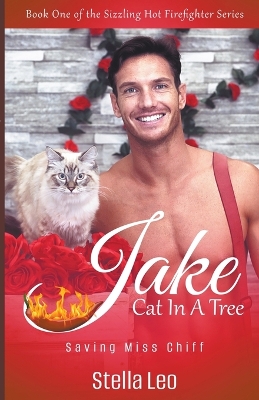 Book cover for Jake