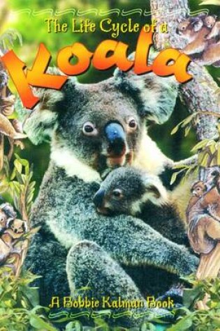 Cover of The Life Cycle of a Koala