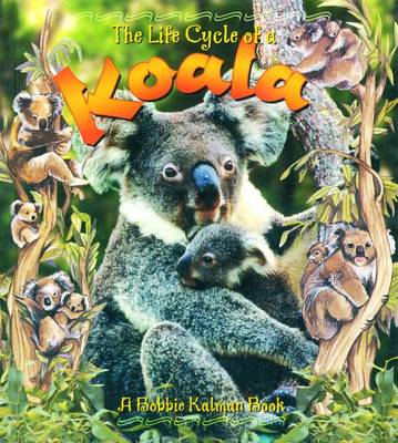 Cover of The Life Cycle of a Koala