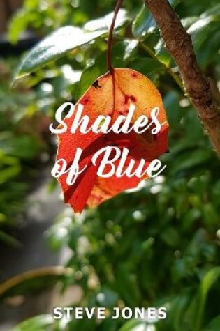 Cover of Shades of Blue