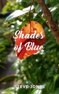 Book cover for Shades of Blue