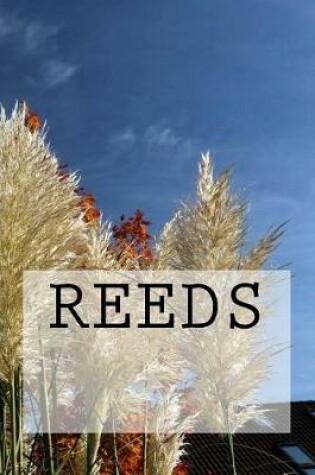 Cover of Reeds