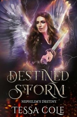 Cover of Destined Storm