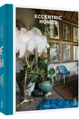 Cover of Eccentric Homes