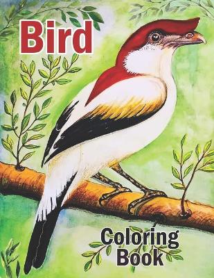 Book cover for Bird Coloring Book