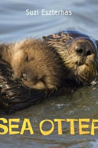 Cover of Sea Otter