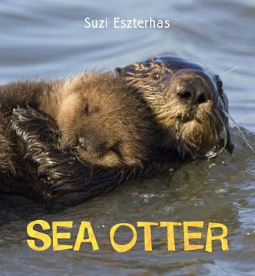 Book cover for Sea Otter