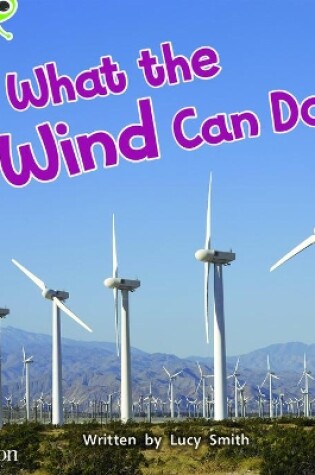 Cover of Bug Club Phonics Non-Fiction Year 1 Phase 5 Unit 16 What the Wind Can Do