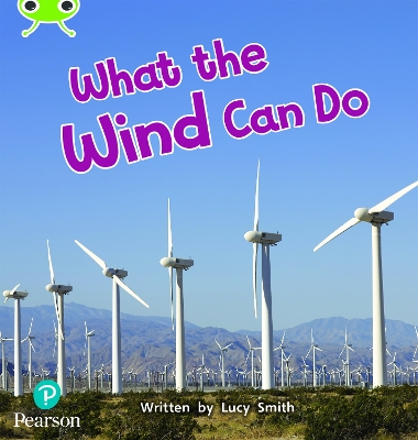 Book cover for Bug Club Phonics Non-Fiction Year 1 Phase 5 Unit 16 What the Wind Can Do