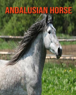 Cover of Andalusian Horse