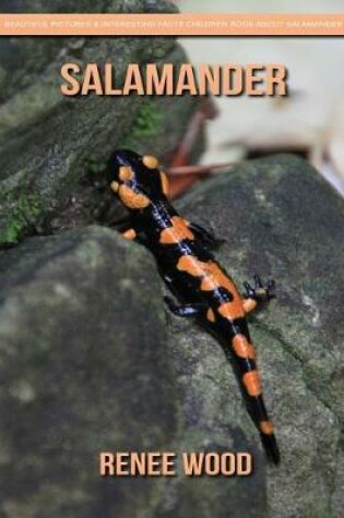 Cover of Salamander