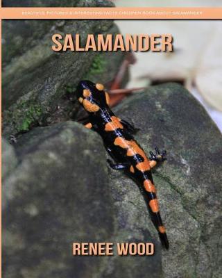 Book cover for Salamander