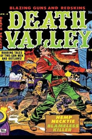 Cover of Death Valley #4