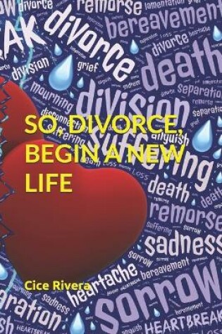 Cover of So, Divorce, Begin a New Life