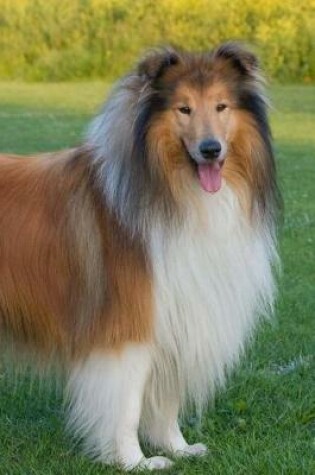 Cover of Rough Collie Posing for the Picture Journal