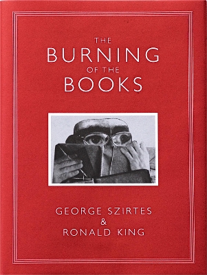 Book cover for The Burning of the Books