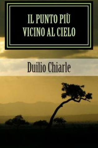 Cover of Il punto più vicino al cielo