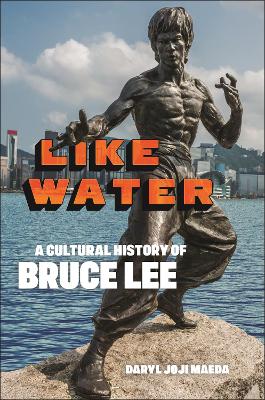 Cover of Like Water