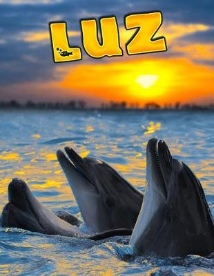 Book cover for Luz