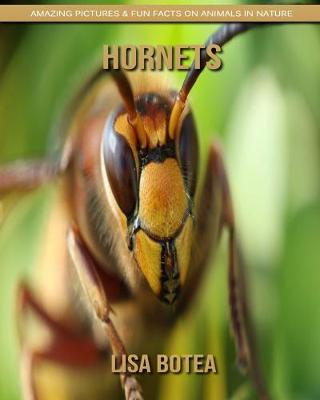 Book cover for Hornets