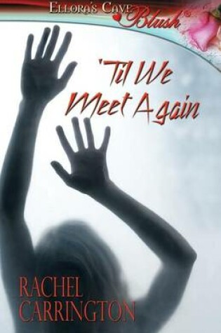 Cover of 'Til We Meet Again