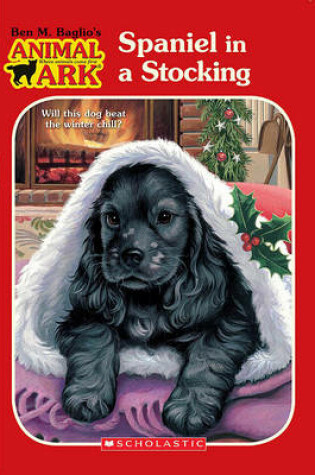 Cover of Spaniel in a Stocking