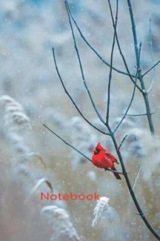 Cover of Notebook