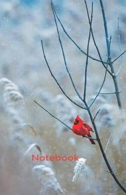 Book cover for Notebook