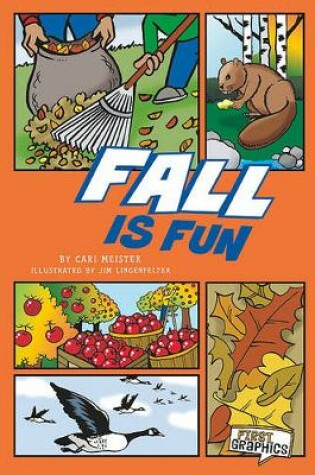 Cover of Fall is Fun (First Graphics: Seasons)