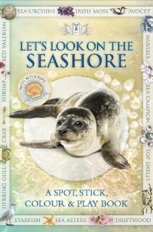 Cover of Let's Look on the Seashore